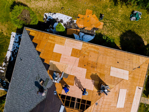 Best Roof Restoration Services  in West Ishpeng, MI