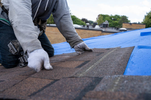 Roof Waterproofing Services in West Ishpeming, MI