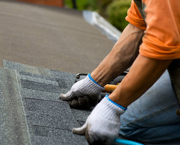 Best Roof Maintenance Services  in West Ishpeng, MI